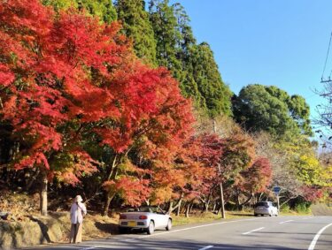 【2024年】関東の絶景紅葉スポット特集！