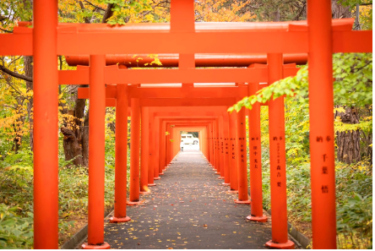 転職に有利な神社　〜北海道〜